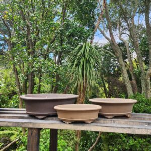 Quality Oval Bonsai Pot , 3 sizes-A20