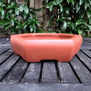 Bonsai Pot M2339A/B, 2 Colors Available