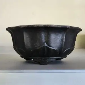 Lotus-Shaped Bonsai Pot-M819