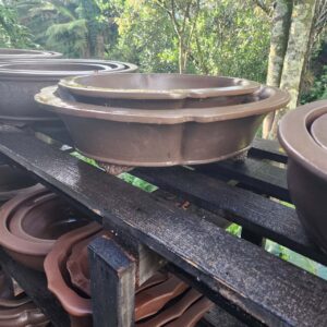 Quality Lotus Bonsai Pot , 2 sizes-A10