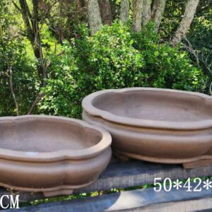 Quality Lotus Bonsai Pot , 2 sizes-A14